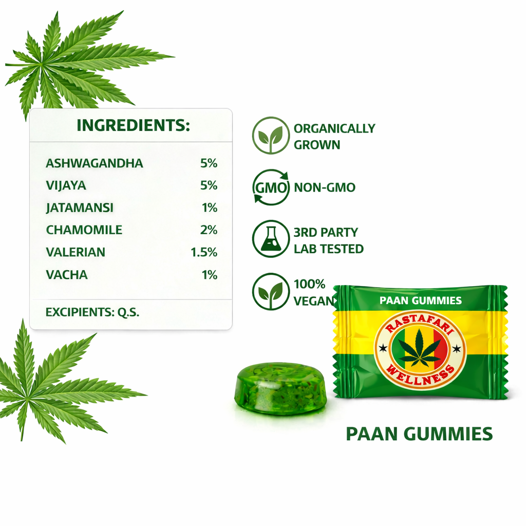 Paan Relax & Reset Gummies 5% – Pack of 2 Gummies - Image 3