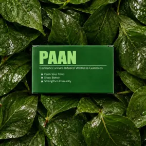 Paan Relax & Reset Gummies 5% – Pack of 10 Gummies