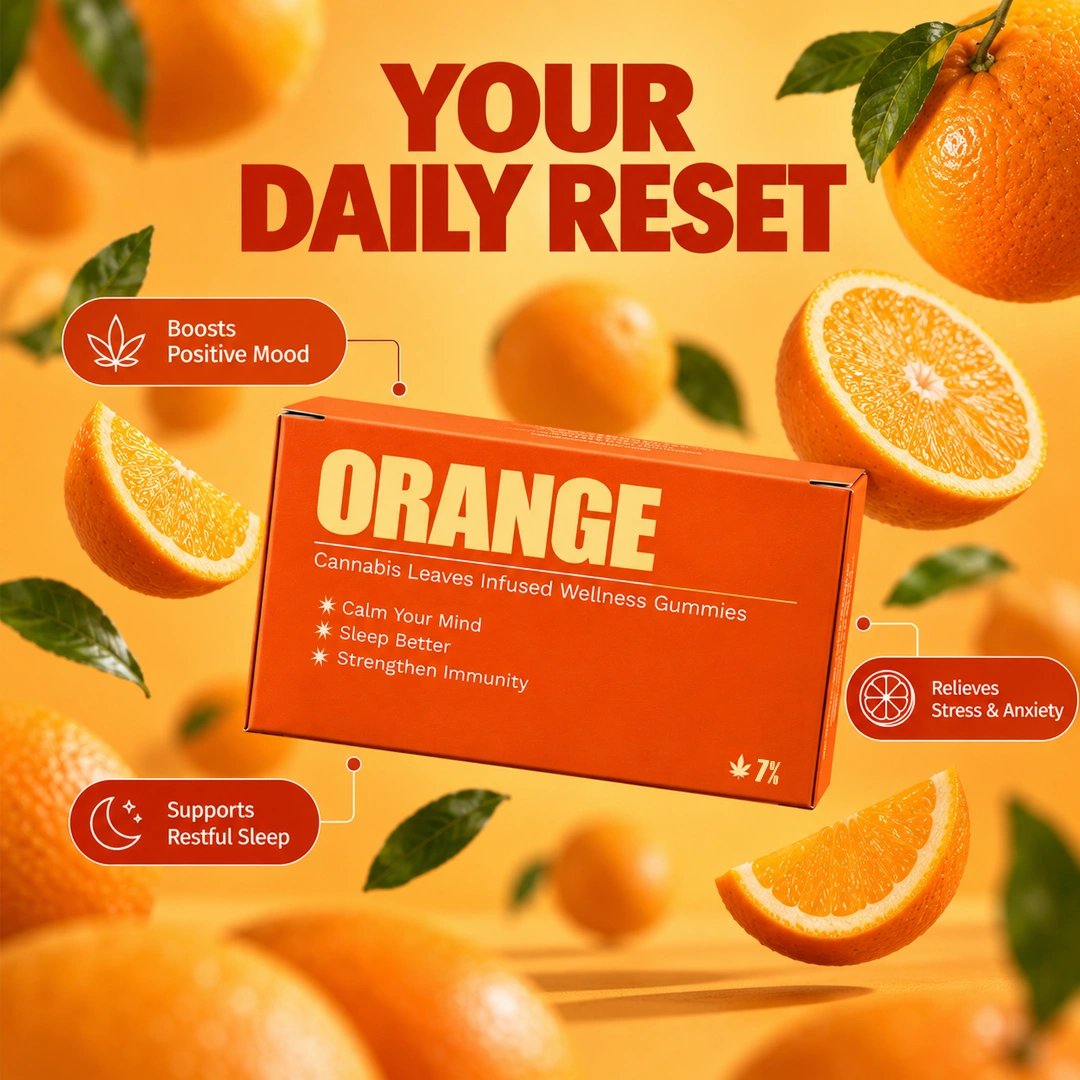 Orange Relax & Reset Gummies 7% β Pack of 10 Gummies - Image 3